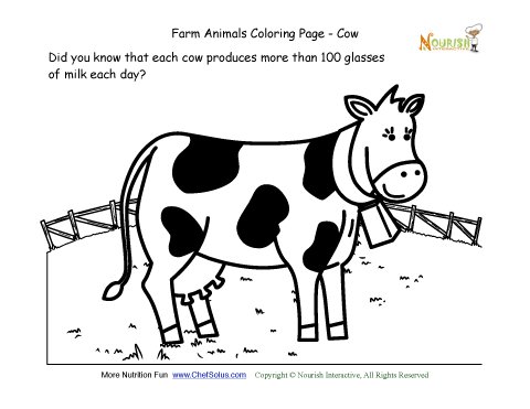 Farm animals coloring and fun fact page