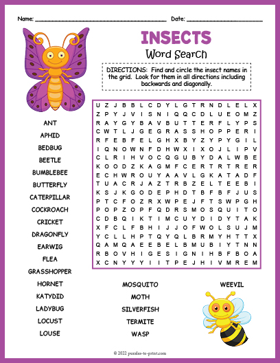 Insect word search