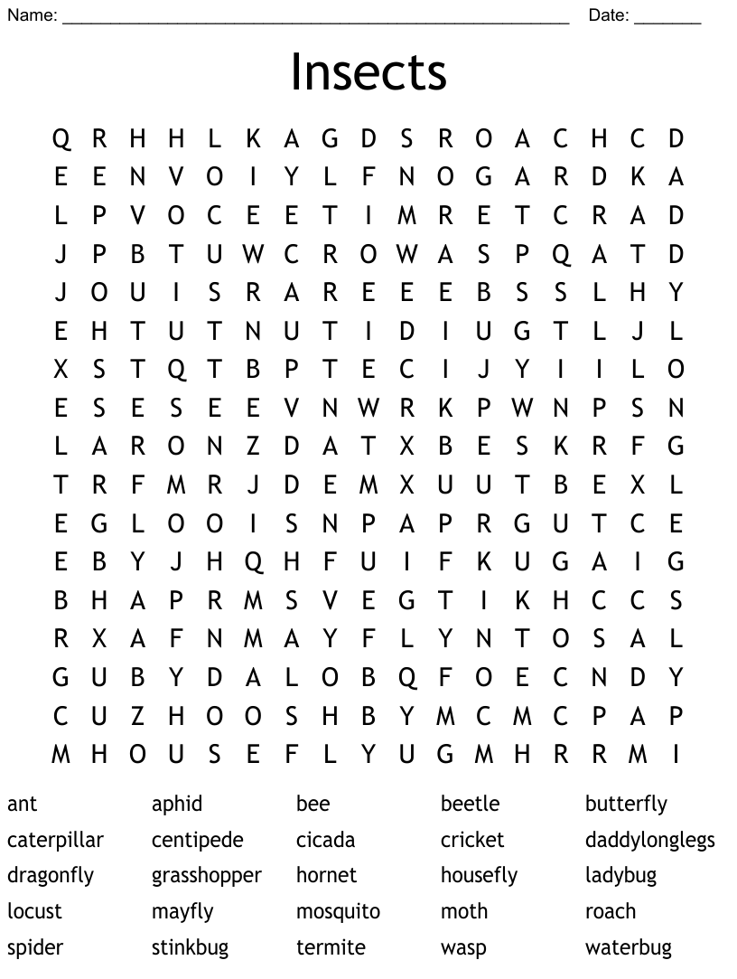 Insects word search