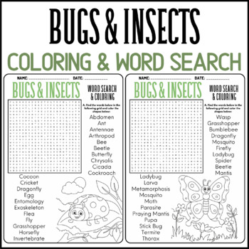 Bugs insects coloring word search puzzle worksheets activities