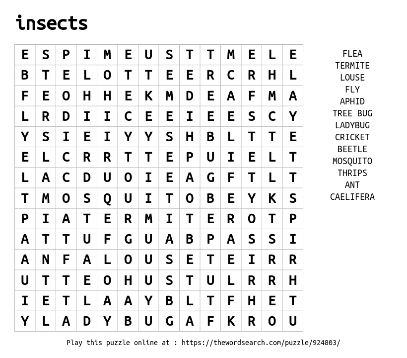 Download word search on insects