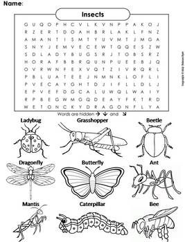 This word search on the different types of insects also doubles as a coloring sheet the solution to the puzzle is iâ insect activities insects plant life cycle