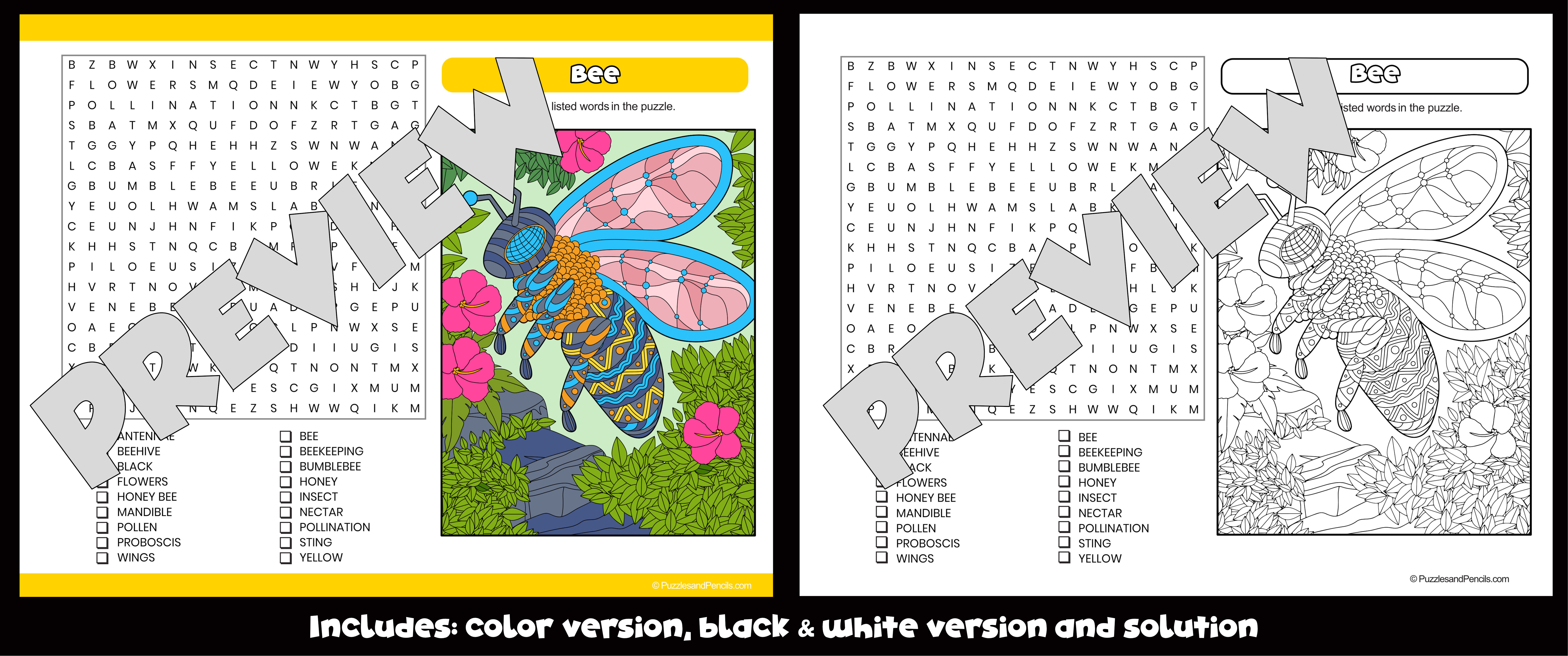 Bee word search puzzle and colouring activity insects wordsearch teaching resources