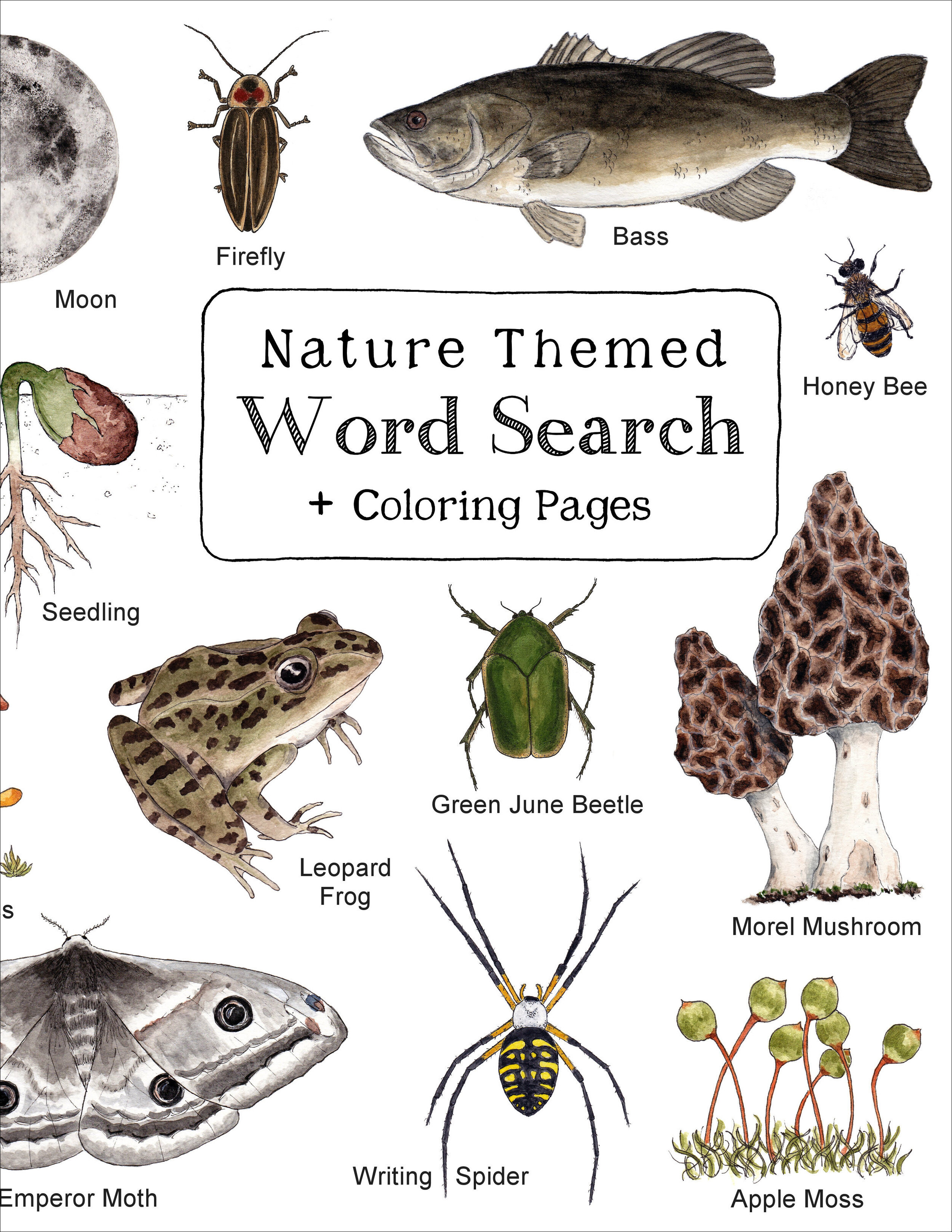 Word search â twig moth