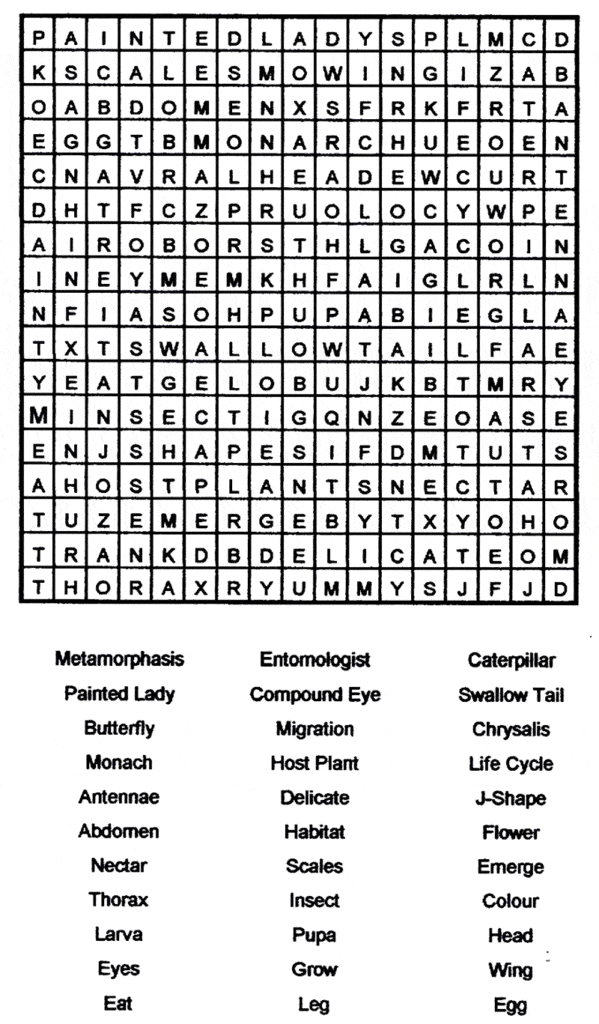 Butterfly word search