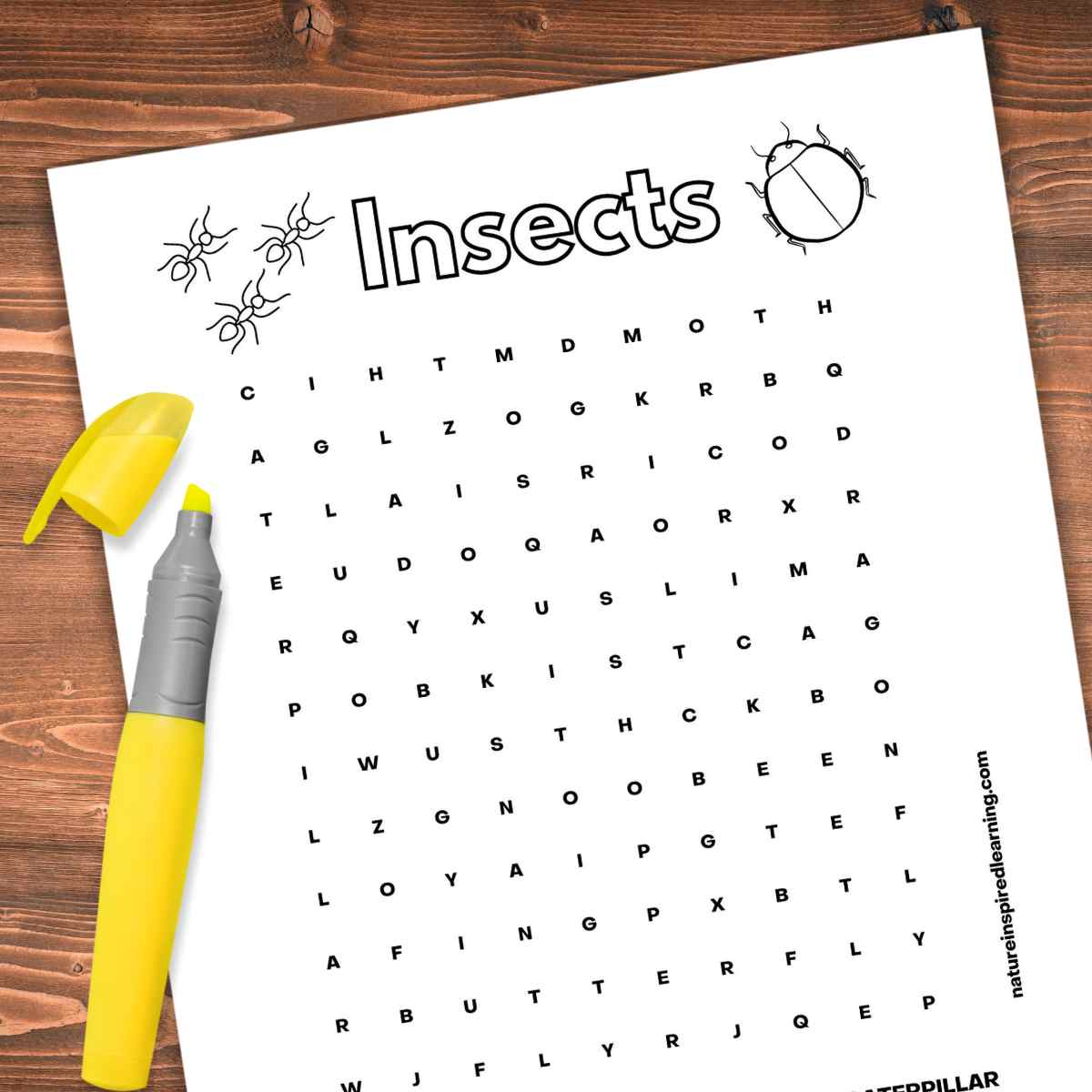 Insect word search