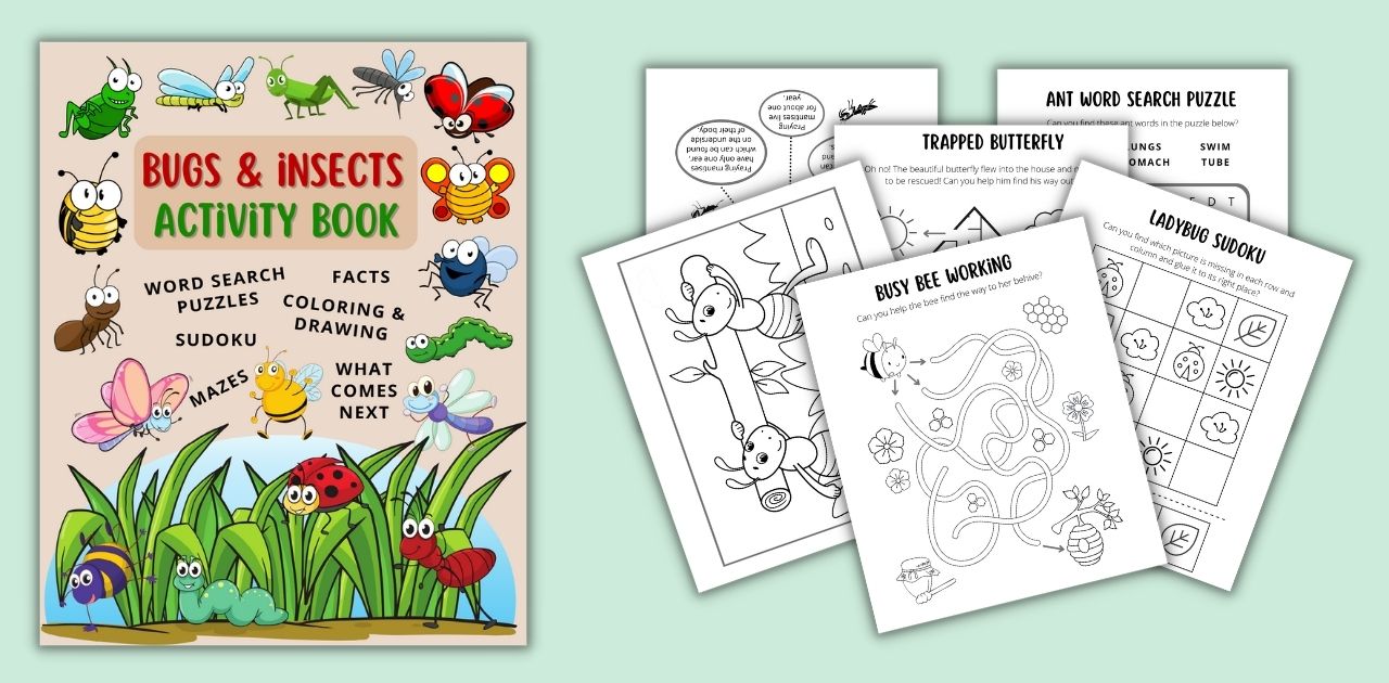 Bugs insects activity book