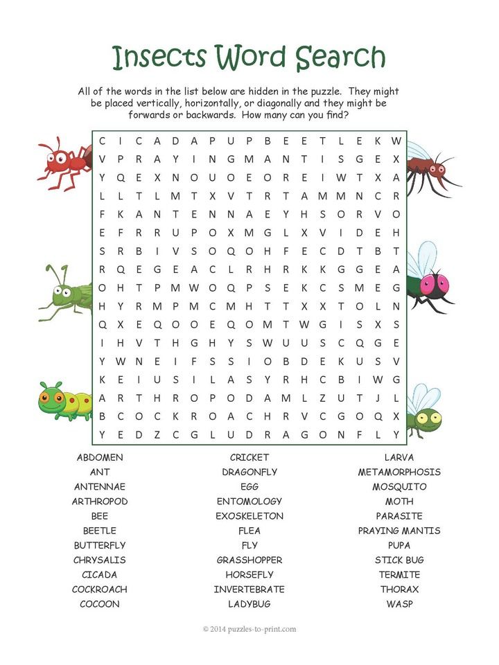 Free printable insect word search school age activities word puzzles for kids kids word search