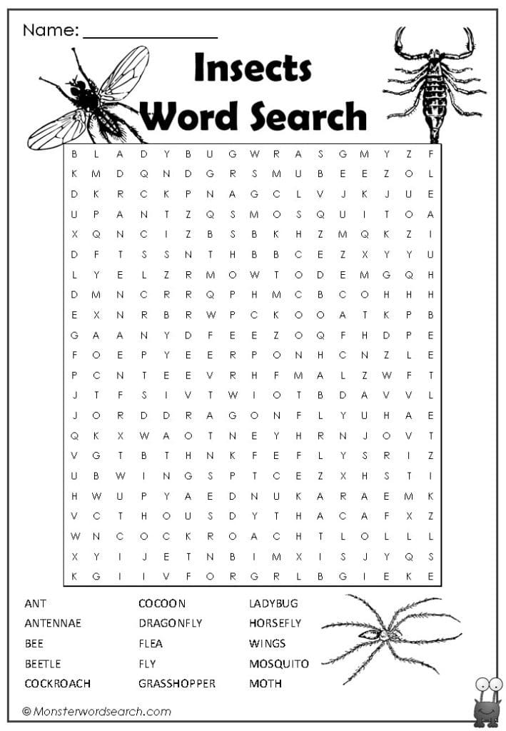 Insects word search