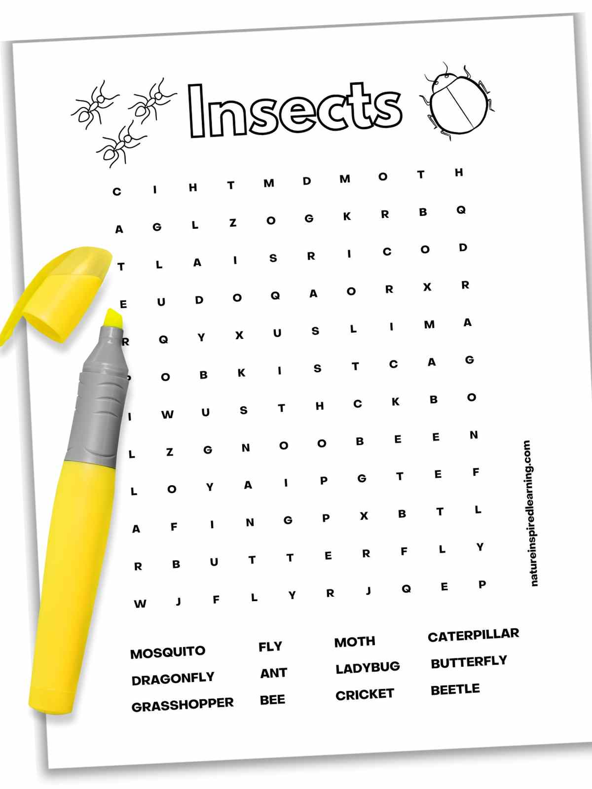 Insect word search