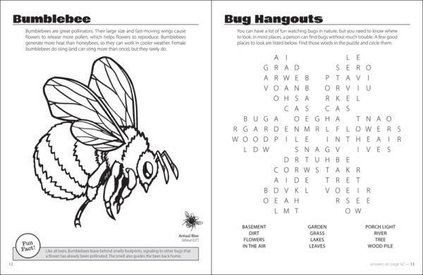 Beautiful bugs activity book