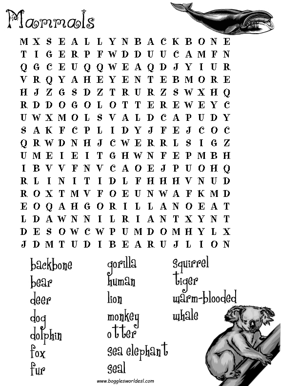 Esl wordsearches