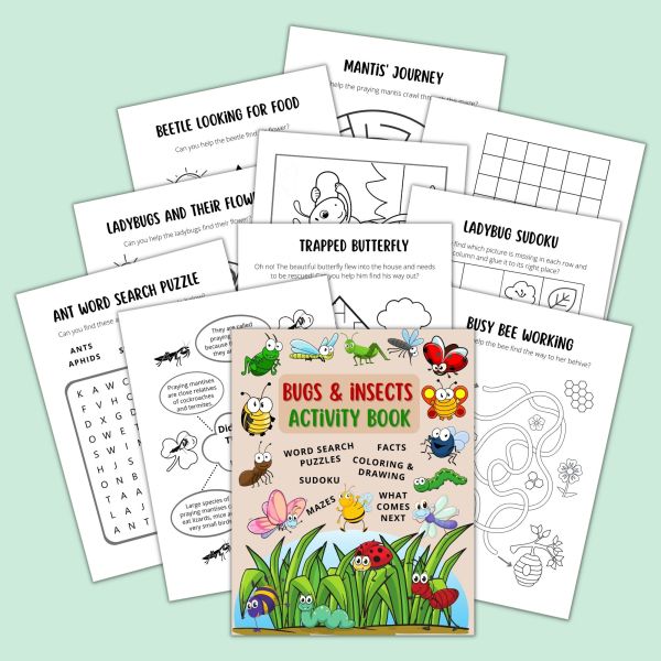 Bugs insects activity book