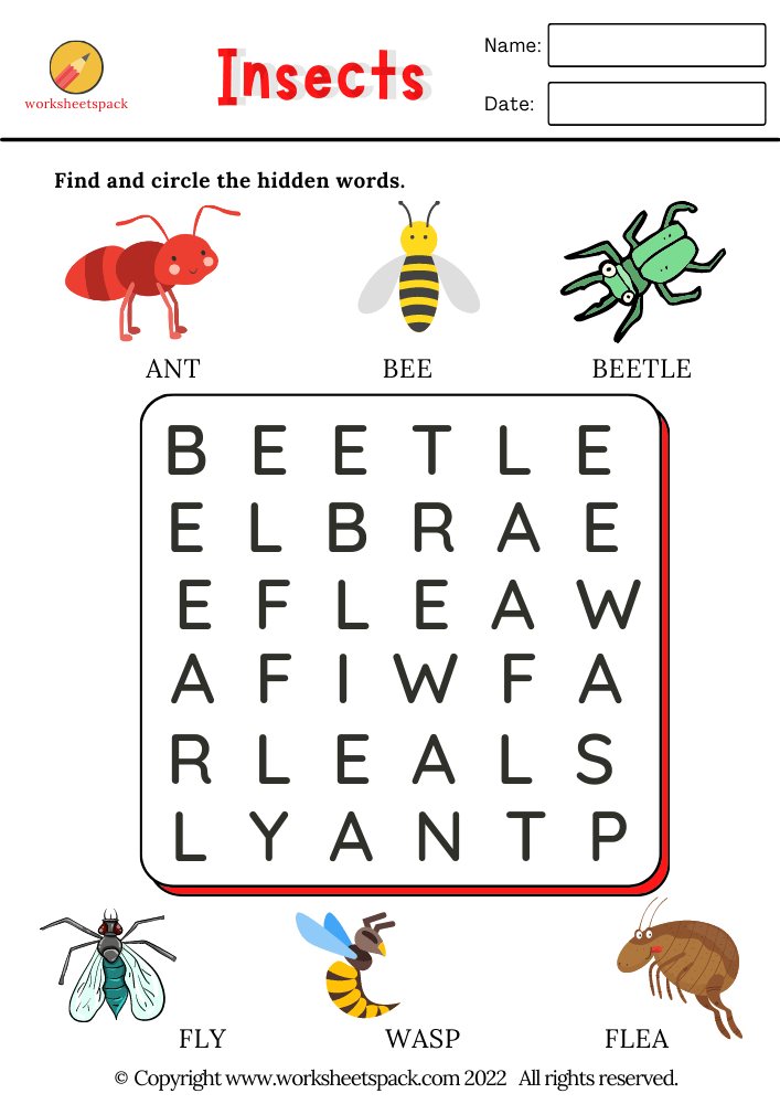 Free insects worksheets