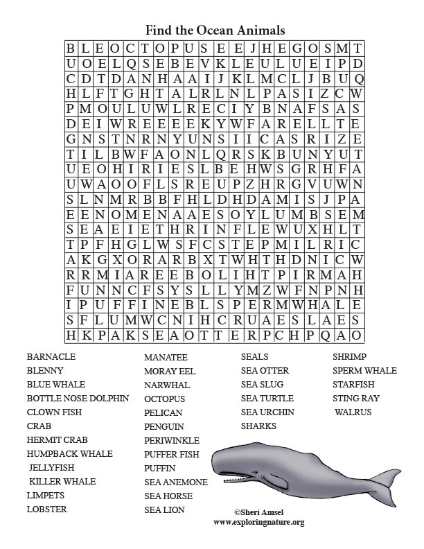 Ocean animal word search adults