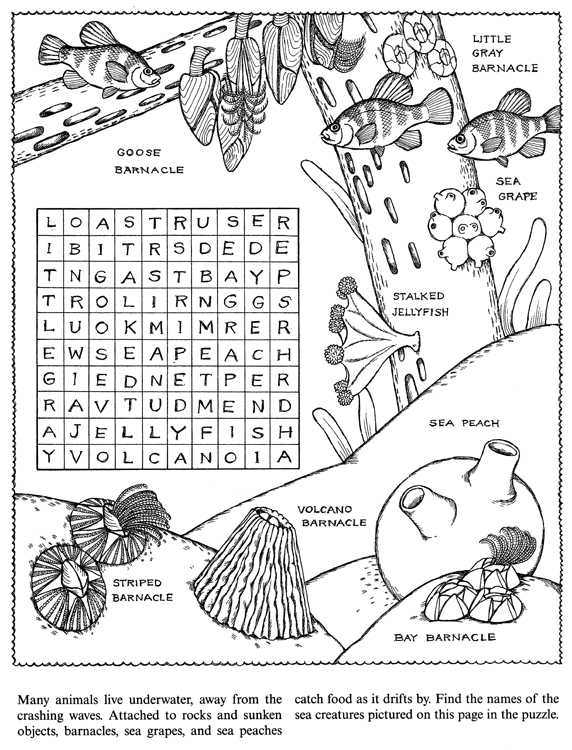 Wele to dover publications