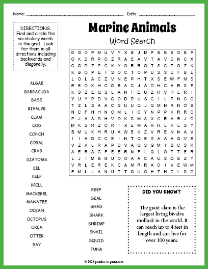 Marine animals word search