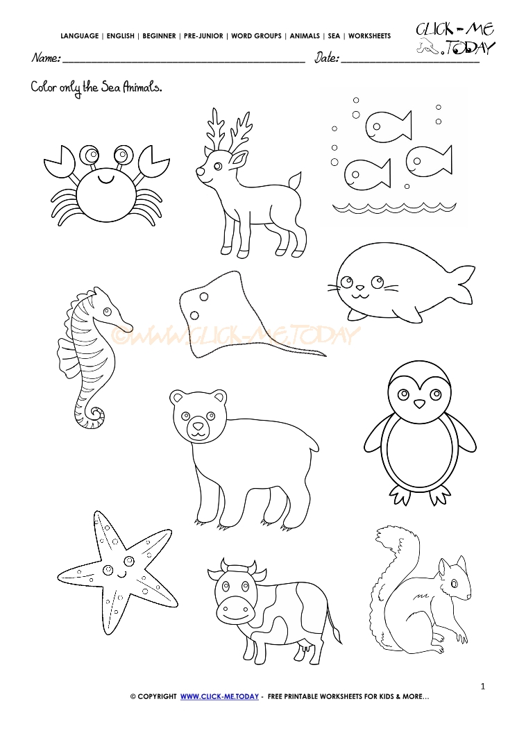 Sea animals worksheet