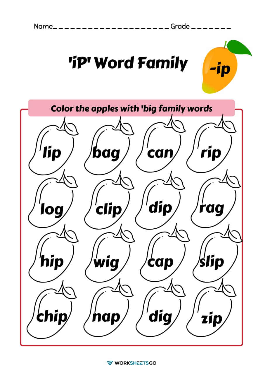 Ip word family worksheets