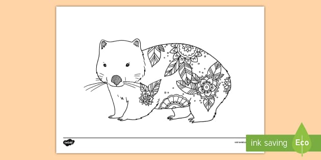 Wombat mindfulness colouring page teacher made