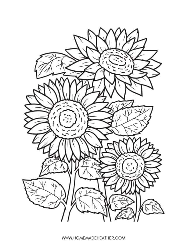 Free printable coloring worksheet pages with flowers homemade heather