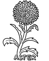 Flowers coloring pages sheets