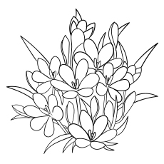 Top free printable flowers coloring pages online