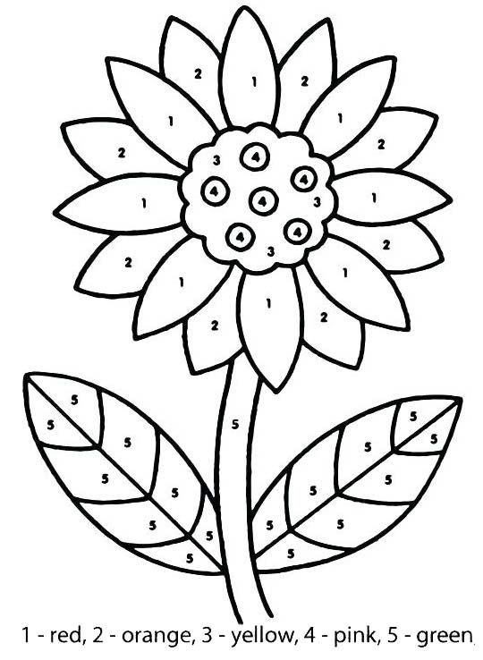 Beautiful flower color by number worksheets flower coloring pages coloring pages spring coloring pages