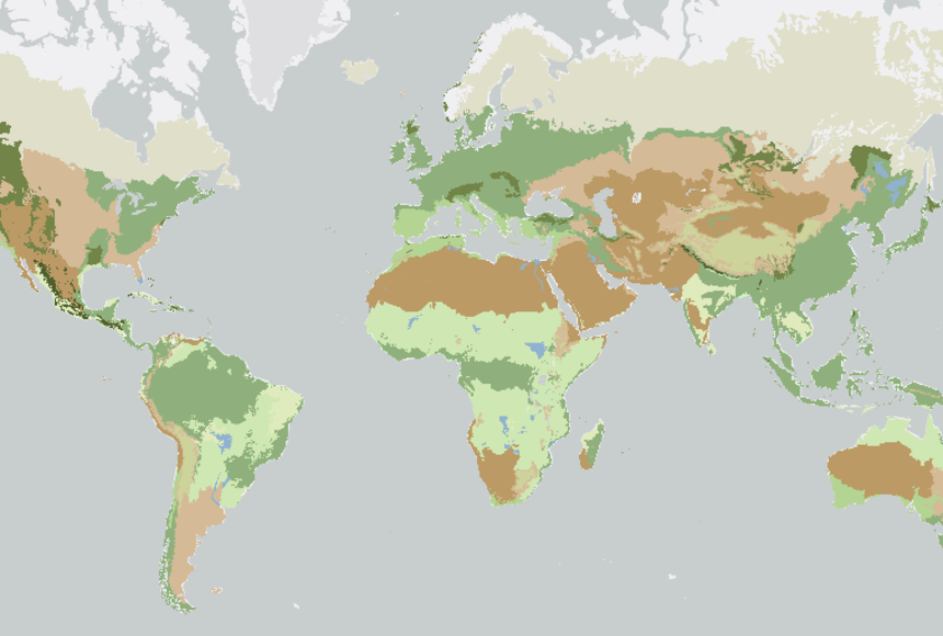 Mapmaker biomes