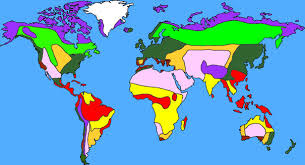 World biome map locations flashcards