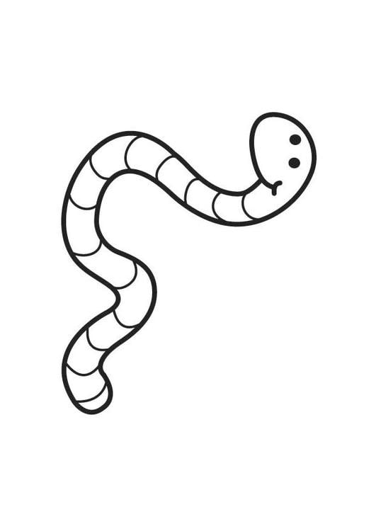 Coloring page worm