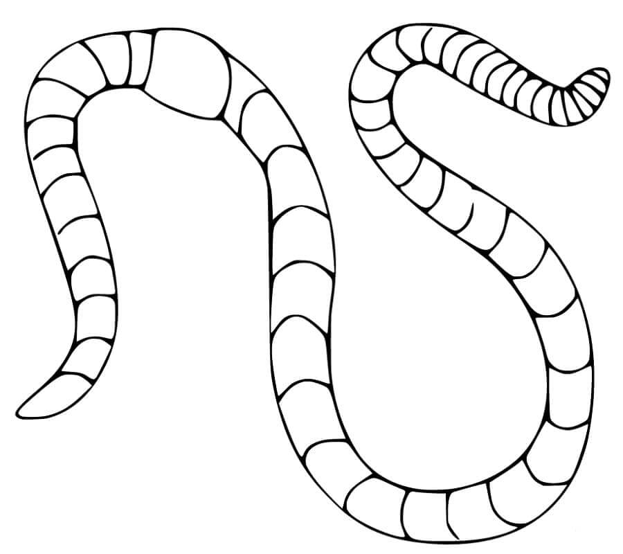 Worm coloring pages