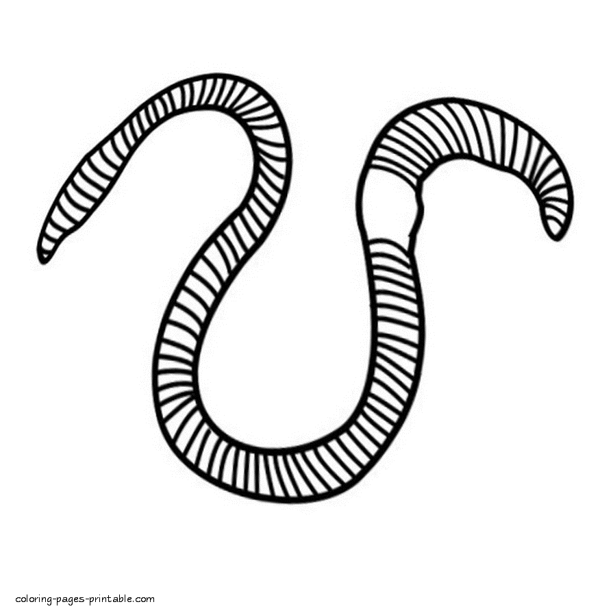 Earthworm coloring pages to print coloring