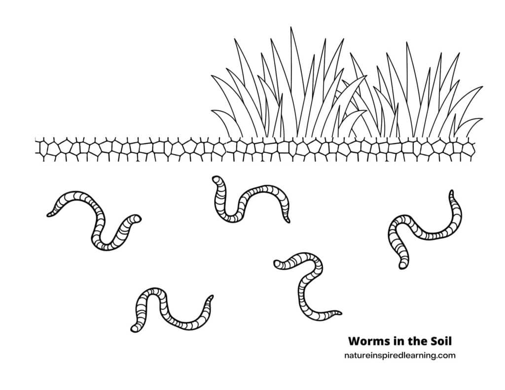 Wiggly worm coloring pages