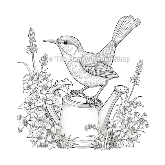 Carolina wren coloring page printable jpg instant download adult coloring bird illustration nature art coloring page for adults