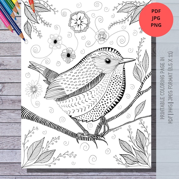 Beautiful wren printable coloring page hand drawn instant download print and color at home perfect diy gift