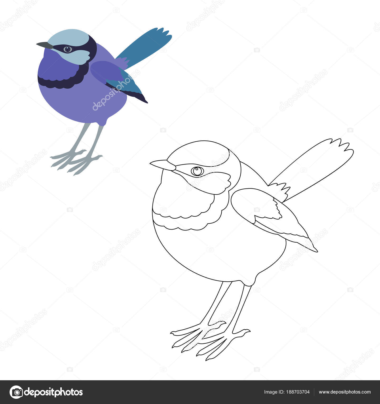 Fairy wren bird vector illustration coloring page stock vector by wectors