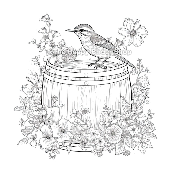 Carolina wren coloring book page printable adult coloring page instant download stress relief bird coloring page relaxing activity