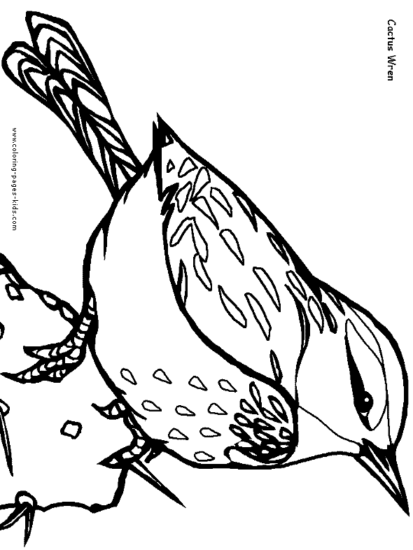 Birds coloring picture