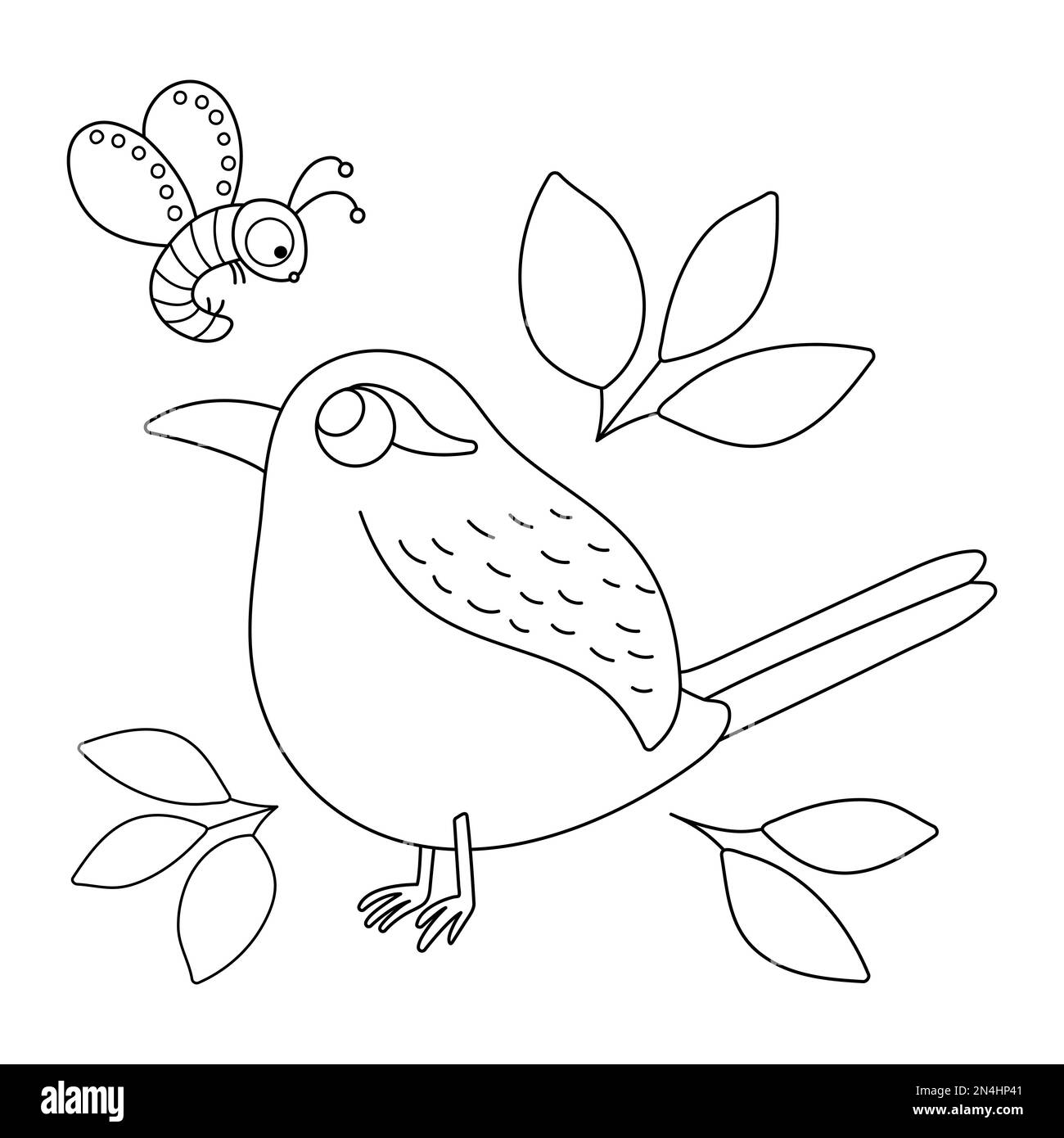 Vector black and white wren with leaves and insect funny woodland bird line icon cute forest outline illustration or coloring page stock vector image art