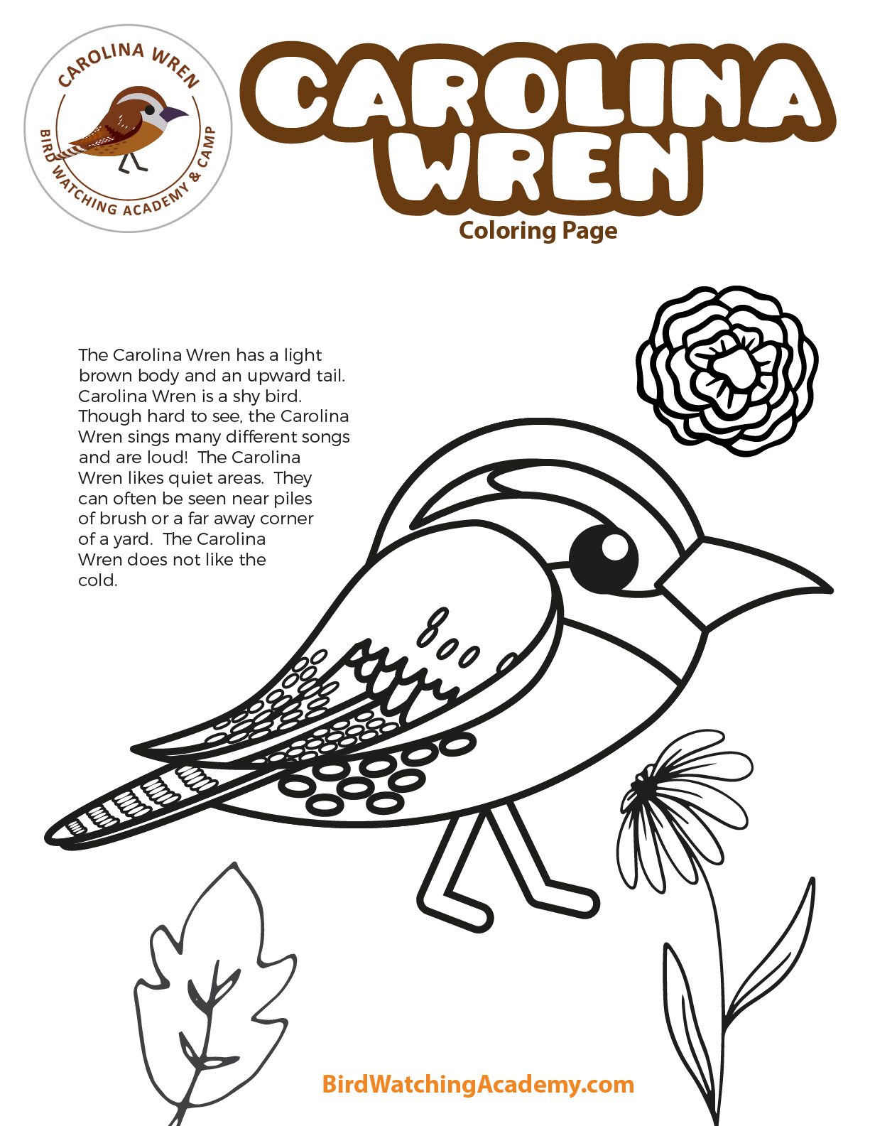 Carolina wren coloring page