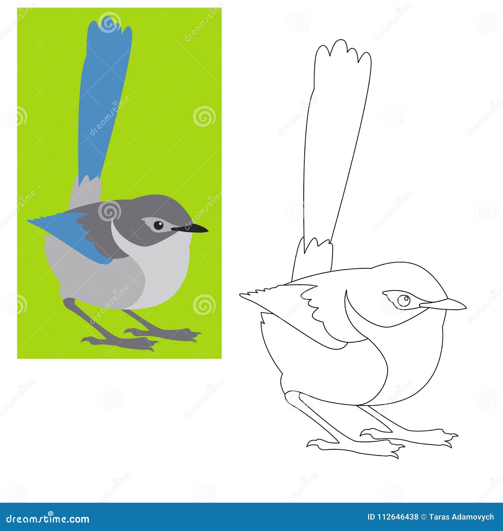 Fairy wren bird vector illustration coloring page stock vector