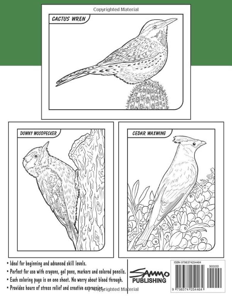 Birds of arizona coloring book for kids by morrison sam