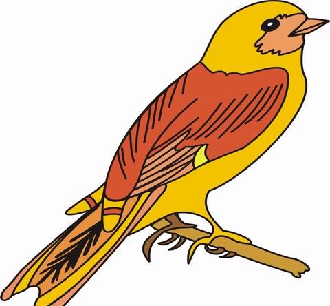 Wren coloring pages for kids to color and print