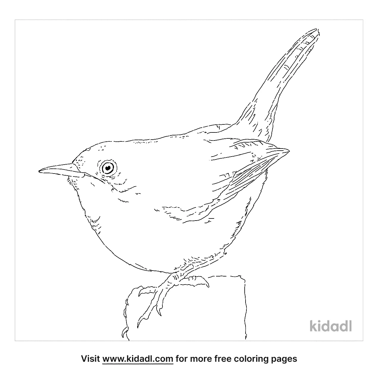 Free house wren coloring page coloring page printables