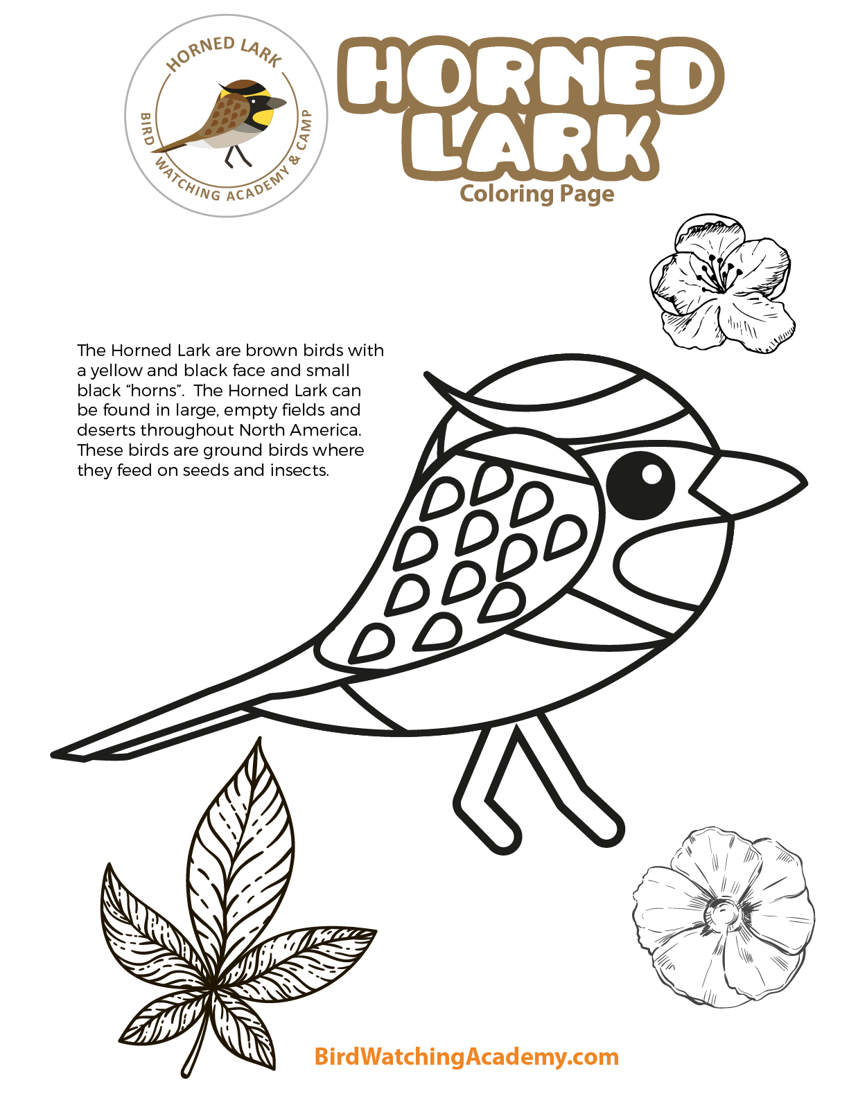 Horned lark coloring page