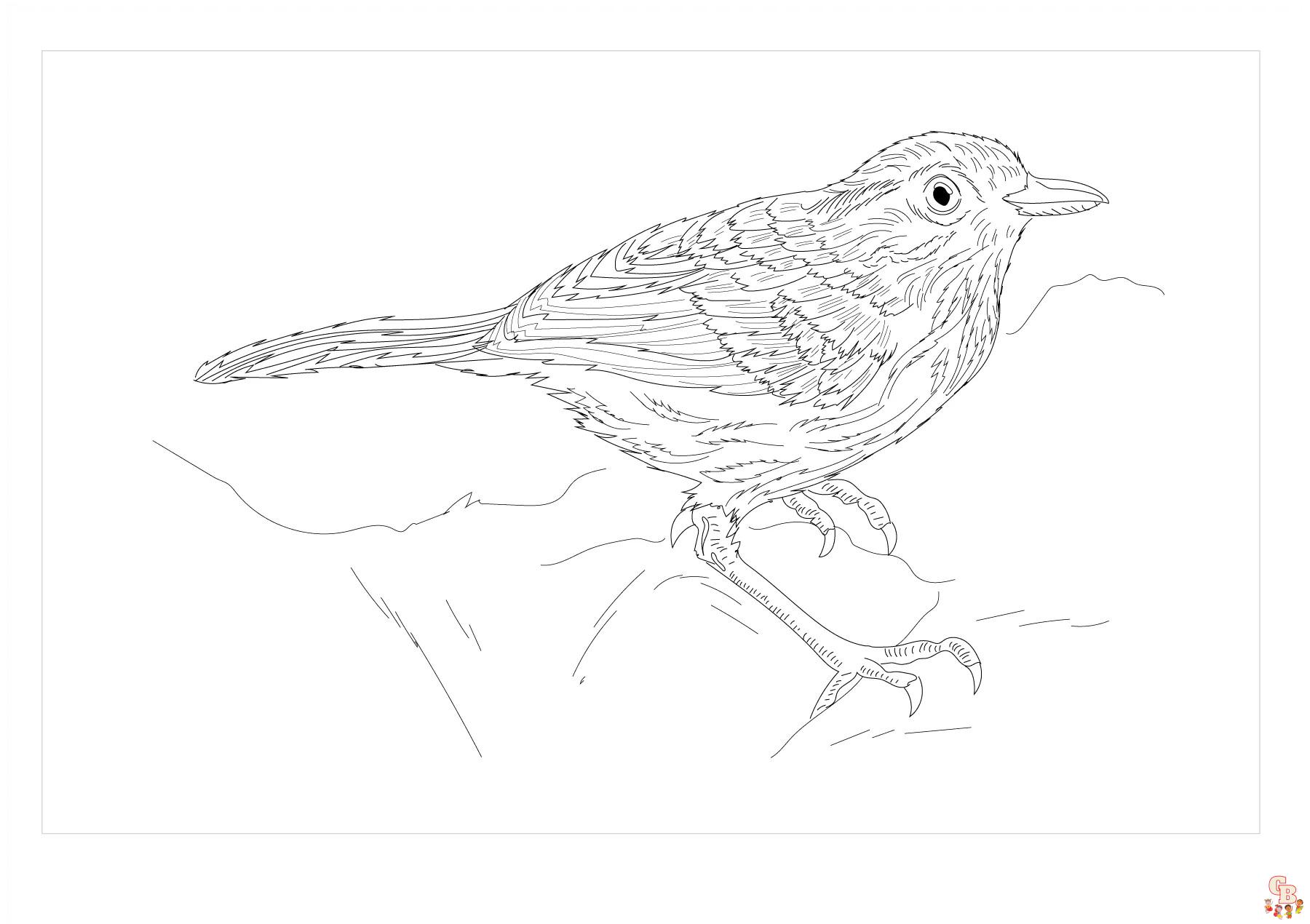 Babblers coloring pages printable and free sheets for kids