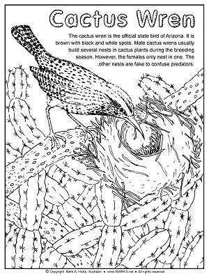 Sonoran desert and colorado plateau coloring pages