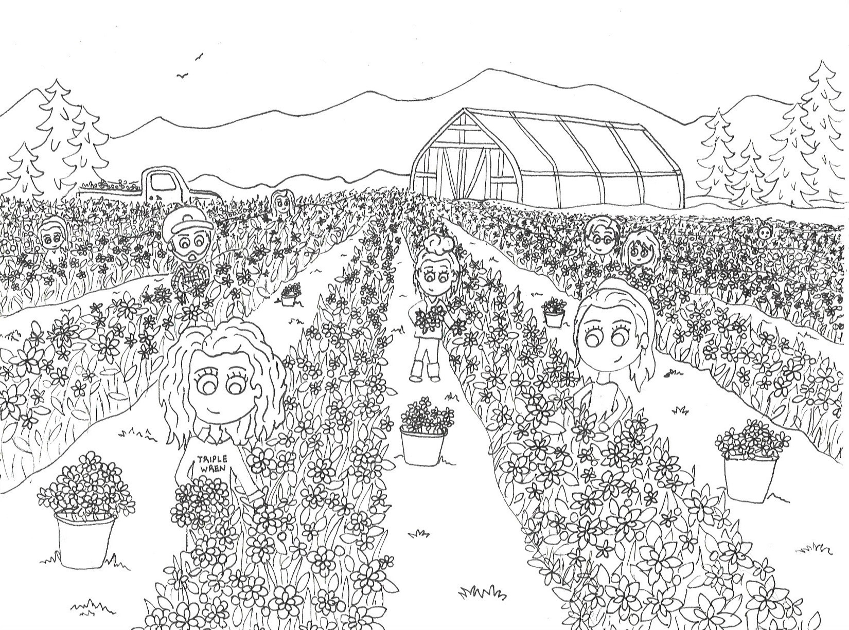 Flower farm coloring page