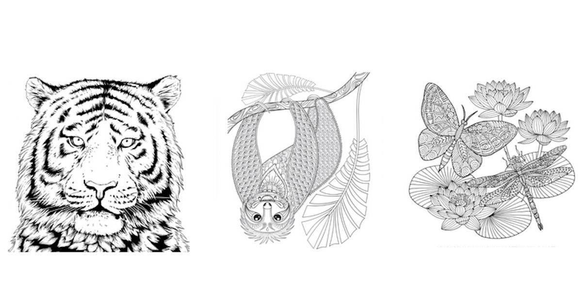 Free wwf coloring pages